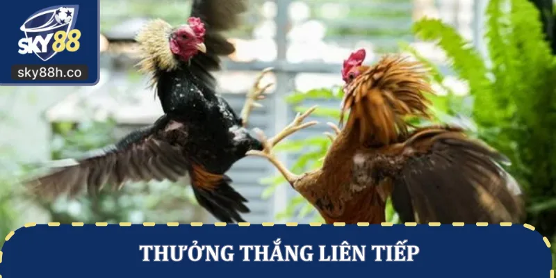 Thưởng thắng liên tiếp